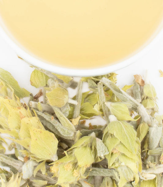 Greek Mountain Herb