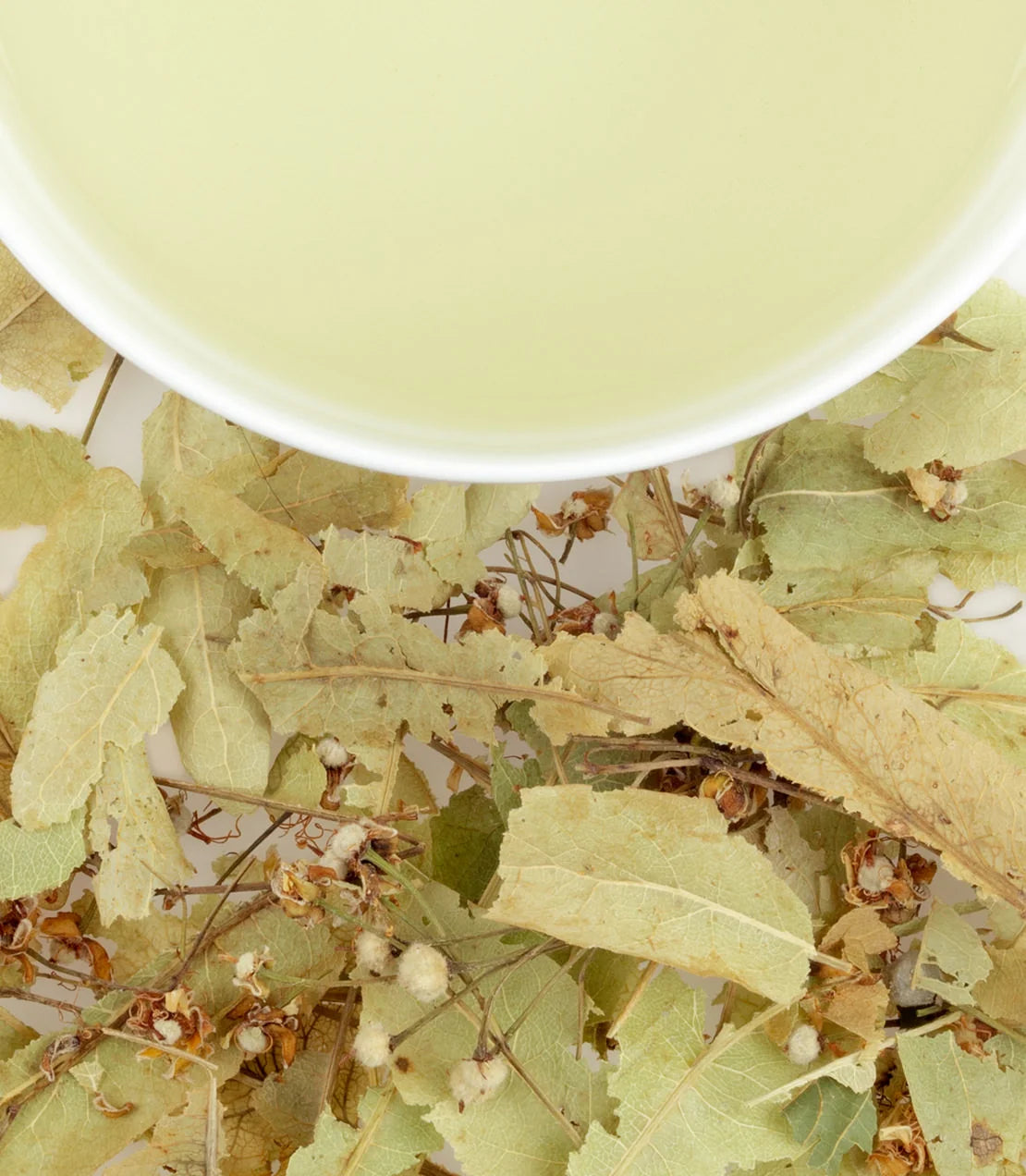 harneytea.us.com