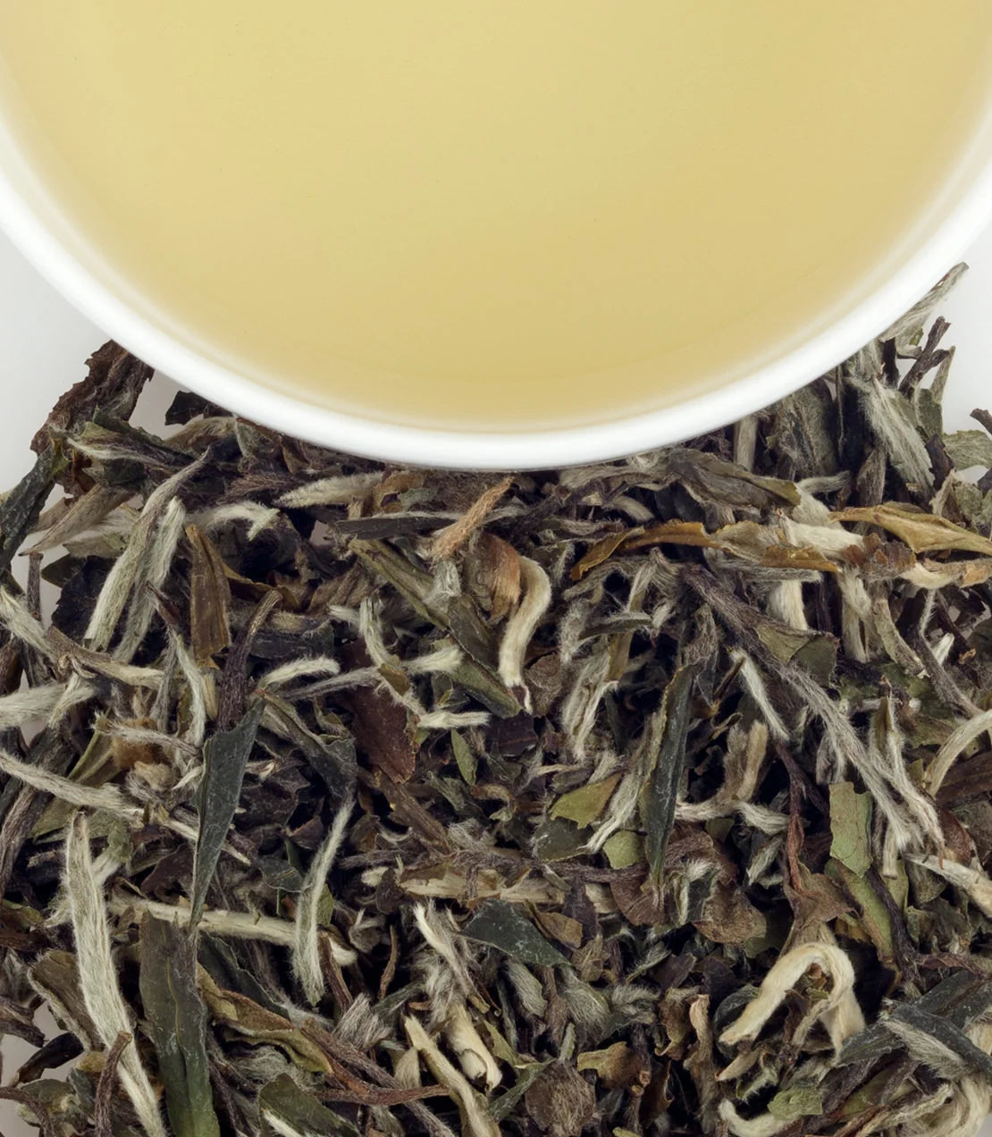 harneytea.us.com